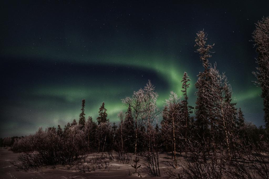 فندق Napapiirin Jaervilomat Luukonniemi المظهر الخارجي الصورة